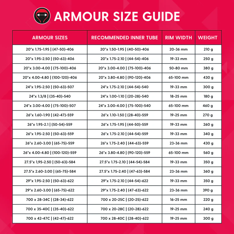TANNUS Amour Pannenschutz 3-in-1, 20 x 3.3 - 4.0