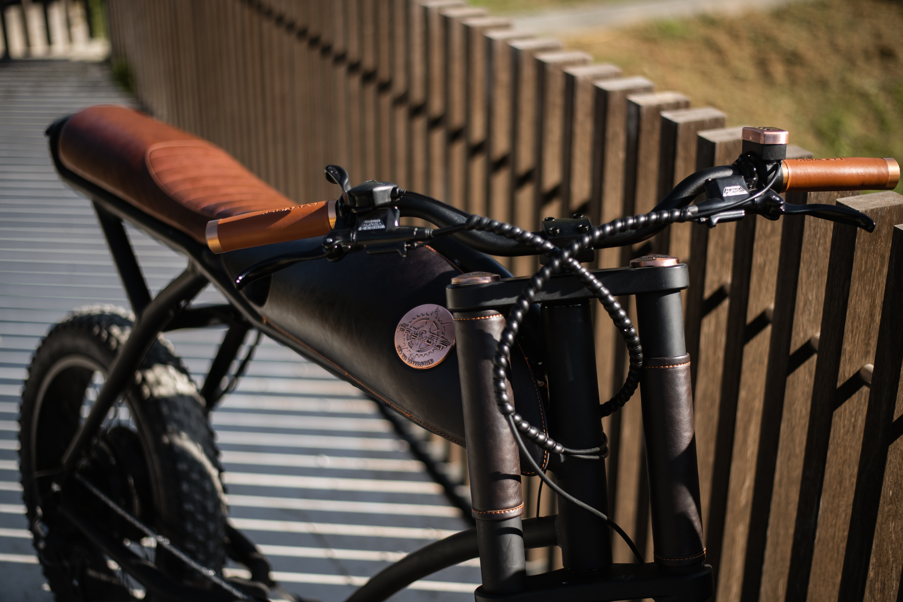 Rayvolt Ringo Smart+ EBike Orange