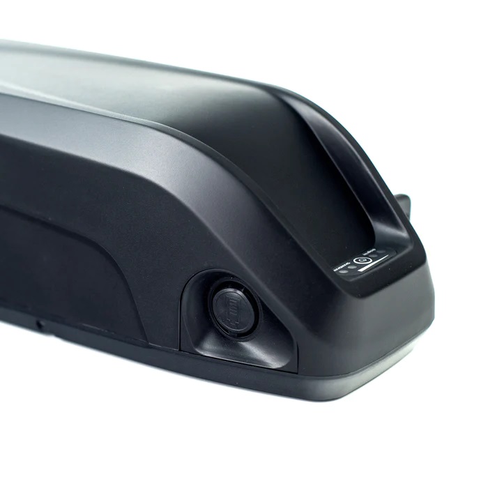 UD Hailong Akku / Batterie 48V, 17.25 Ah, 828Wh