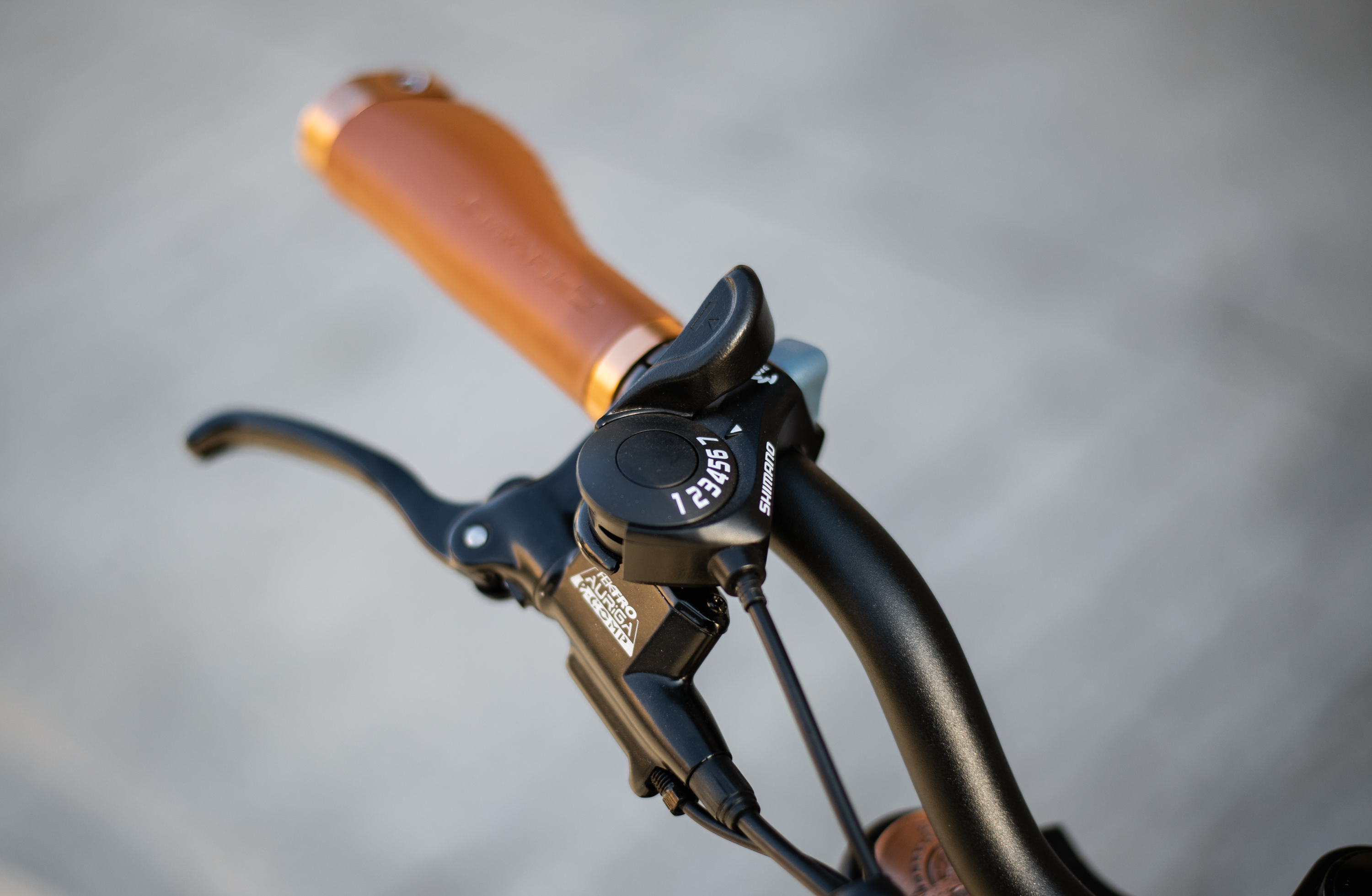 Rayvolt Ringo Smart+ EBike Orange