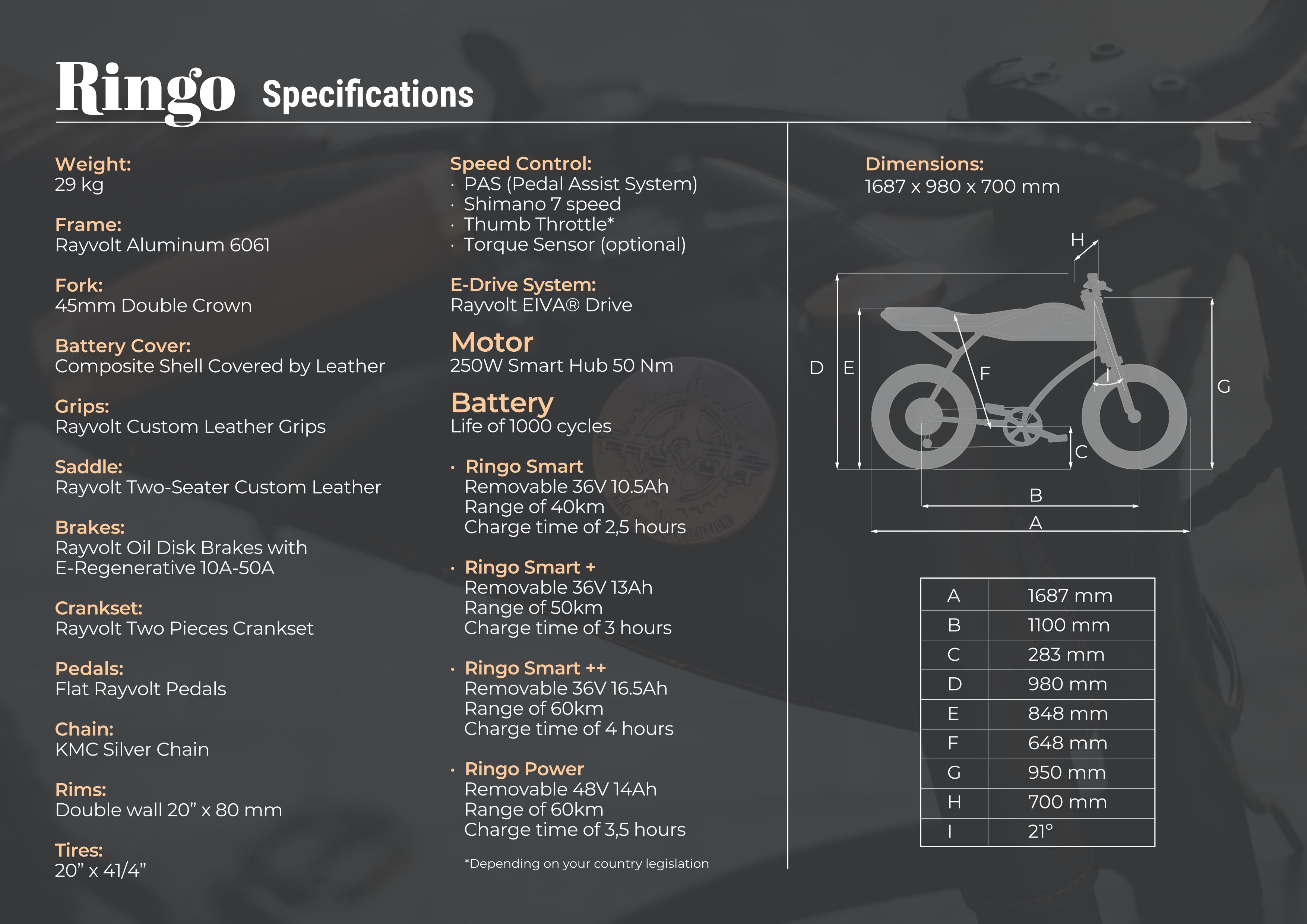 Rayvolt Ringo Smart+ EBike Orange